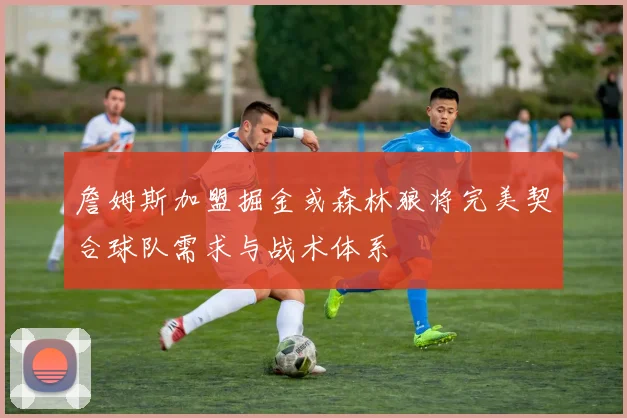 詹姆斯加盟掘金或森林狼将完美契合球队需求与战术体系
