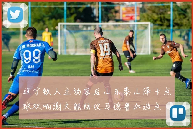 辽宁铁人主场落后山东泰山泽卡点球双响谢文能助攻马德鲁加造点