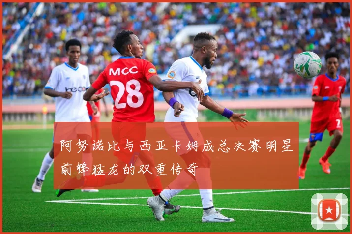 阿努诺比与西亚卡姆成总决赛明星前锋猛龙的双重传奇